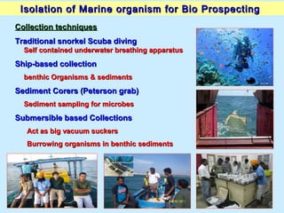Marine Natural Products and Health | PPT