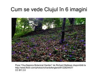 Cum se vede Clujul în 6 imagini

Poza “Cluj-Napoca Botanical Garden” de Richard Mattews disponibilă la
http://www.flickr.com/photos/richardofengland/8122824437/
CC BY 2.0

 