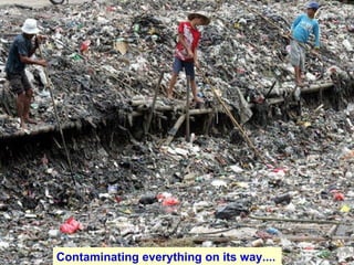 Contaminating everything on its way....   