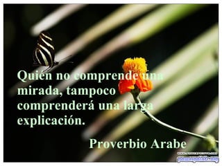 Quién no comprende una mirada, tampoco comprenderá una larga explicación. Proverbio Arabe 