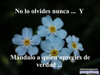 No lo olvides nunca ...  Y  Mándalo a quien aprecies de verdad ...  