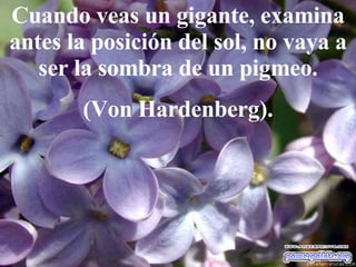 Cuando veas un gigante, examina antes la posición del sol, no vaya a ser la sombra de un pigmeo. (Von Hardenberg).   