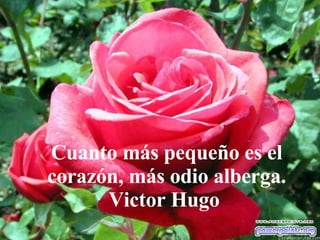 Cuanto más pequeño es el corazón, más odio alberga. Victor Hugo  