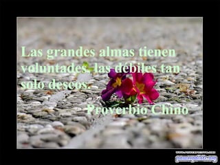Las grandes almas tienen voluntades, las débiles tan solo deseos. Proverbio Chino 