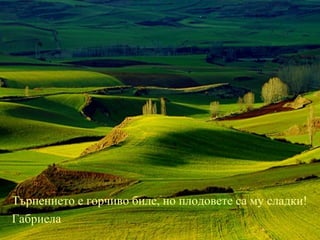 Търпението е горчиво биле, но плодовете са му сладки! Търпението е горчиво биле, но плодовете са му сладки! Габриела 