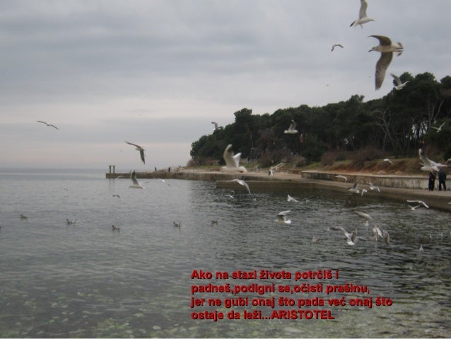 Citati ppp rovinj Citati ppp rovinj