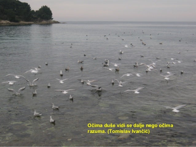 Citati ppp rovinj Citati ppp rovinj