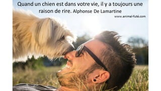Citations animaux