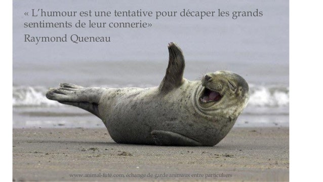 Citations Sur La Vie La Liberte L Amour Le Bonheur La Tristesse Citations Sur La Vie La Liberte L Amour Le Bonheur La Tristesse