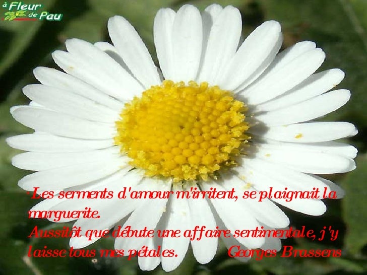 Citations Fleurs Citations Fleurs