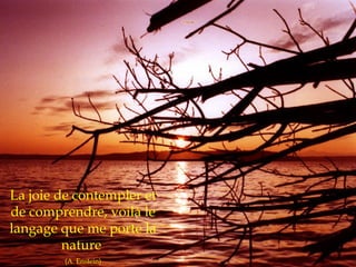 Citations Imagees Nature