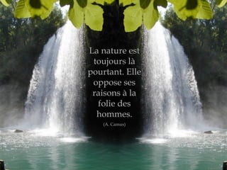 Citations Imagees Nature