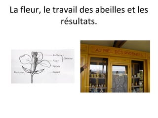 La fleur, le travail des abeilles et les
résultats.
 