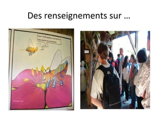 Des renseignements sur …
 