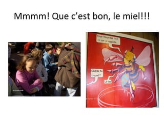 Mmmm! Que c’est bon, le miel!!!
 