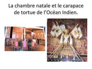 La chambre natale et le carapace
de tortue de l’Océan Indien.
 