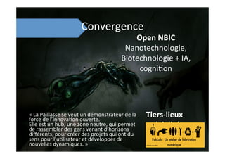 Convergence	
  
Tiers-­‐lieux	
  
spécialisés	
  
Open	
  NBIC	
  
Nanotechnologie,	
  
Biotechnologie	
  +	
  IA,	
  
cogni;on	
  
«	
  La	
  Paillasse	
  se	
  veut	
  un	
  démonstrateur	
  de	
  la	
  
force	
  de	
  l’innova;on	
  ouverte.	
  	
  
Elle	
  est	
  un	
  hub,	
  une	
  zone	
  neutre,	
  qui	
  permet	
  
de	
  rassembler	
  des	
  gens	
  venant	
  d’horizons	
  
diﬀérents,	
  pour	
  créer	
  des	
  projets	
  qui	
  ont	
  du	
  
sens	
  pour	
  l’u;lisateur	
  et	
  développer	
  de	
  
nouvelles	
  dynamiques.	
  »	
  
 