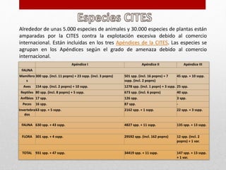 Cites | PPTX