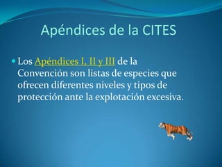 CITES | PPSX