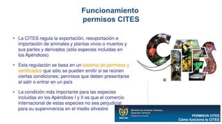 Funcionamiento
permisos CITES