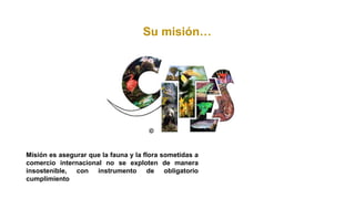 Misión es asegurar que la fauna y la flora sometidas a
comercio internacional no se exploten de manera
insostenible, con instrumento de obligatorio
cumplimiento
Su misión…