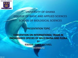 PRESENTATION TOPIC
CONVENTION ON INTERNATIONAL TRADE IN
ENDANGERED SPECIES OF WILD FAUNA AND FLORA
BY
KWAME-BINEY MICHAEL
(10398825)
UNIVERSITY OF GHANA
COLLEGE OF BASIC AND APPLIED SCIENCES
SCHOOL OF BIOLOGICAL SCIENCES
 