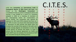 C.I.T.E.S.
o
n
v
e
n
t
i
o
n
n
t
e
r
n
a
t
i
o
n
a
l
r
a
d
e
n
d
a
n
g
e
r
e
d
p
e
c
i
e
s
CITES (the Convention on International Trade in
Endangered Species of Wild Fauna and Flora, also
known as the Washington Convention) is
a multilateral treaty to protect endangered plants and
animals. It was drafted as a result of a resolution
adopted in 1963 at a meeting of members of
the International Union for Conservation of
Nature (IUCN). The convention was opened for
signature in 1973 and CITES entered into force on 1
July 1975. Its aim is to ensure that international trade
in specimens of wild animals and plants does not
threaten the survival of the species in the wild, and it
accords varying degrees of protection to more than
35,000 species of animals and plants. In order to
ensure that the General Agreement on Tariffs and
Trade (GATT) was not violated, the Secretariat of GATT
was consulted during the drafting process.
 