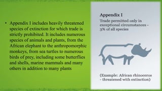 • Appendix I includes heavily threatened
species of extinction for which trade is
strictly prohibited. It includes numerous
species of animals and plants, from the
African elephant to the anthropomorphic
monkeys, from sea turtles to numerous
birds of prey, including some butterflies
and shells, marine mammals and many
others in addition to many plants
 