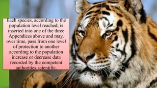 Each species, according to the
population level reached, is
inserted into one of the three
Appendices above and may,
over time, pass from one level
of protection to another
according to the population
increase or decrease data
recorded by the competent
authorities scientific.
 