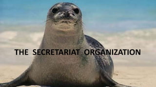 THE SECRETARIAT ORGANIZATION
 