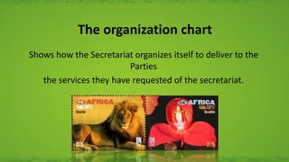 The organization chart
Shows how the Secretariat organizes itself to deliver to the
Parties
the services they have requested of the secretariat.
 