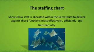 The staffing chart
Shows how staff is allocated within the Secretariat to deliver
against these functions most effectively , efficiently and
transparently.
 