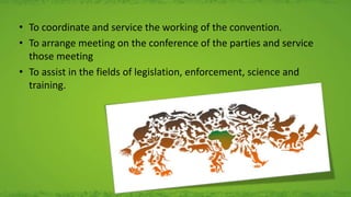 • To coordinate and service the working of the convention.
• To arrange meeting on the conference of the parties and service
those meeting
• To assist in the fields of legislation, enforcement, science and
training.
 
