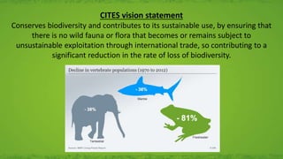 CITES vision statement
Conserves biodiversity and contributes to its sustainable use, by ensuring that
there is no wild fauna or flora that becomes or remains subject to
unsustainable exploitation through international trade, so contributing to a
significant reduction in the rate of loss of biodiversity.
 