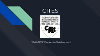 CITES
What is CITES? What does it do? Let’s learn more
 