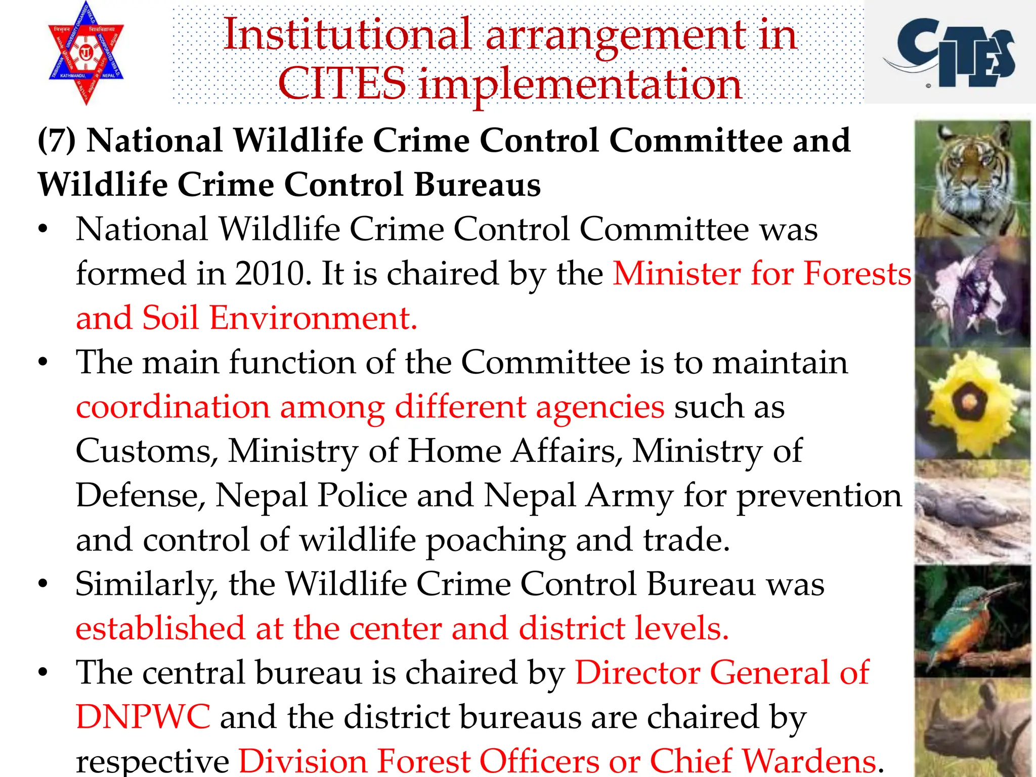 Cites Function CITES implementation in Nepal........pptx
