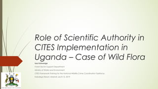 Role of Scientific Authority in
CITES Implementation in
Uganda – Case of Wild Flora
Issa Katwesige
Forest Sector Support Department
Ministry of Water and Environment
CITES Framework Training for the National Wildlife Crime Coordination Taskforce,
Kabalega Resort, Masindi July 8-12, 2019
 