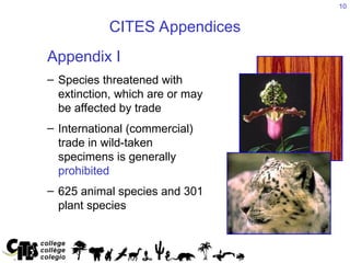 CITES_Introdfuction.ppt,................... | PPT