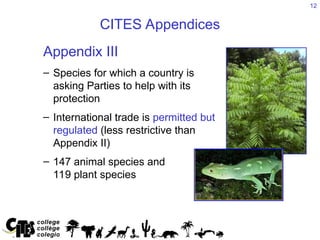 CITES_Introdfuction.ppt,................... | PPT