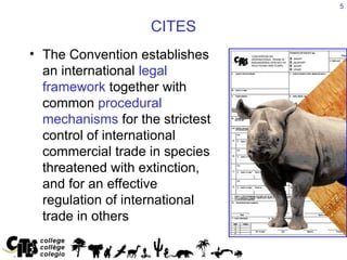 CITES_Introdfuction.ppt,................... | PPT