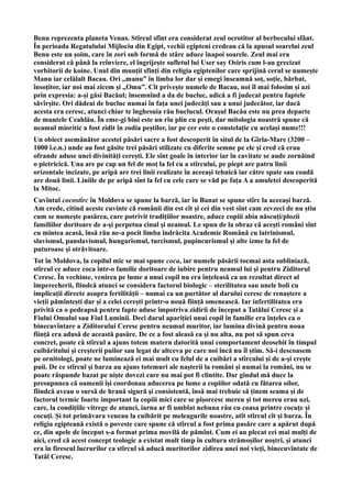 Benu reprezenta planeta Venus. Stîrcul sfînt era considerat zeul ocrotitor al berbecului sfânt.
În perioada Regatulului Mijlociu din Egipt, vechii egipteni credeau că la apusul soarelui zeul
Benu este un șoim, care în zori sub formă de stârc aduce înapoi soarele. Zeul mai era
considerat că până la reînviere, el îngrijește sufletul lui User say Osiris cum l-au grecizat
vorbitorii de koine. Unul din munții sfinți din religia egiptenilor care sprijină cerul se numește
Manu iar celălalt Bacau. Ori ,,manu” în limba lor dar și emegi înseamnă soț, soție, bărbat,
însoțitor, iar noi mai zicem și ,,Omu”. Cît privește numele de Bacau, noi îl mai folosim și azi
prin expresia: a-și găsi Bacăul; însemnînd a da de bucluc, adică a fi judecat pentru faptele
săvîrșite. Ori dădeai de bucluc numai în fața unei judecăți sau a unui judecător, iar dacă
acesta era ceresc, atunci chiar te înghesuia rău buclucul. Orașul Bacău este nu prea departe
de muntele Ceahlău. În eme-gi bini este un rîu plin cu pești, dar mitologia noastră spune că
neamul mioritic a fost zidit în zodia peștilor, iar pe cer este o constelație cu același nume!!!
Un obiect asemănător acestei păsări sacre a fost descoperit în situl de la Gîrla-Mare (3200 –
1000 î.e.n.) unde au fost găsite trei păsări stilizate cu diferite semne pe ele și cred că erau
ofrande aduse unei divinități cerești. Ele sînt goale în interior iar în cavitate se aude zornăind
o pietricică. Una are pe cap un fel de moț la fel cu a stîrcului, pe piept are patru linii
orizontale incizate, pe aripă are trei linii realizate în aceeași tehnică iar către spate sau coadă
are două linii. Liniile de pe aripă sînt la fel cu cele care se văd pe fața A a amuletei descoperită
la Mitoc.
Cuvîntul cocostîrc în Moldova se spune la barză, iar în Banat se spune stîrc la aceeași barză.
Am crede, citind aceste cuvinte că românii din est cît și cei din vest sînt cam zevzeci de nu știu
cum se numește pasărea, care potrivit tradițiilor noastre, aduce copiii abia născuți/plozii
familiilor doritoare de a-și perpetua cinul și neamul. Le spun de la obraz că acești români sînt
cu mintea acasă, însă rău ne-a pocit limba îndrăcita Academie Română cu latrinismul,
slavismul, panslavismul, hungarismul, turcismul, pupincurismul și alte izme la fel de
puturoase și otrăvitoare.
Tot în Moldova, la copilul mic se mai spune coca, iar numele păsării tocmai asta subliniază,
stîrcul ce aduce coca într-o familie doritoare de iubire pentru neamul lui și pentru Ziditorul
Ceresc. În vechime, venirea pe lume a unui copil nu era înțeleasă ca un rezultat direct al
împerecherii, fiindcă atunci se considera factorul biologic – sterilitatea sau unele boli cu
implicații directe asupra fertilității – numai ca un purtător al darului ceresc de renaștere a
vieții pămîntești dar și a celei cerești printr-o nouă ființă omenească. Iar infertilitatea era
privită ca o pedeapsă pentru fapte aduse împotriva zidirii de început a Tatălui Ceresc și a
Fiului Omului sau Fiul Luminii. Deci darul apariției unui copil în familie era înțeles ca o
binecuvîntare a Ziditorului Ceresc pentru neamul muritor, iar lumina divină pentru noua
ființă era adusă de această pasăre. De ce a fost aleasă ea și nu alta, nu pot să spun ceva
concret, poate că stîrcul a ajuns totem matern datorită unui comportament deosebit în timpul
cuibăritului și creșterii puilor sau legat de altceva pe care noi încă nu îl știm. Să-i descoasem
pe ornitologi, poate ne luminează ei mai mult cu felul de a cuibări a stîrcului și de a-și crește
puii. De ce stîrcul și barza au ajuns totemuri ale nașterii la români și numai la români, nu se
poate răspunde bazat pe niște dovezi care nu mai pot fi clintite. Dar gîndul mă duce la
presupunea că oamenii își coordonau aducerea pe lume a copiilor odată cu fătarea oilor,
fiindcă aveau o sursă de hrană sigură și consistentă, însă mai trebuie să ținem seama și de
factorul termic foarte important la copiii mici care se pișorcesc mereu și tot mereu erau uzi,
care, la condițiile vitrege de atunci, iarna ar fi umblat nebuna rău cu coasa printre cocuțe și
cocuți. Și tot primăvara veneau la cuibărit pe meleagurile noastre, atît stîrcul cît și barza. În
religia egipteană există o poveste care spune că stîrcul a fost prima pasăre care a apărut după
ce, din apele de început s-a format prima movilă de pămînt. Cum ei au plecat cei mai mulți de
aici, cred că acest concept teologic a existat mult timp în cultura strămoșilor noștri, și atunci
era în firescul lucrurilor ca stîrcul să aducă muritorilor zidirea unei noi vieți, binecuvîntate de
Tatăl Ceresc.
 