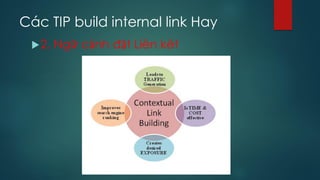 Các TIP build internal link Hay
2. Ngữ cảnh đặt Liên kêt
 