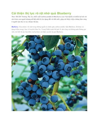 Cải thiện thị lực rõ rệt nhờ quả Blueberry 
Theo ThS.DS Trương Thị An, chiết xuất anthocyanidin từ Blueberry (cao Việt Quất) có nhiều lợi ích với 
sức k hoẻ con người nhưng nổi bật nhất là tác dụng đối với đôi mắt, giúp cải thiện triệu chứng lâm sàng 
ở người cận thị và suy nhược thị lực. 
Blueberry (Vaccinium ) là một trong những nguồn tự nhiên giàu anthocyanidin. Qủa Blueberry đã được sử 
dụng từ lâu trong y học cổ truyền Châu Âu. Trong Chiến tranh thế giới II, phi công của không quân Hoàng gia 
Anh cho biết thị lực ban đêm của họ được cải thiện sau khi ăn quả Blueberry. 
 