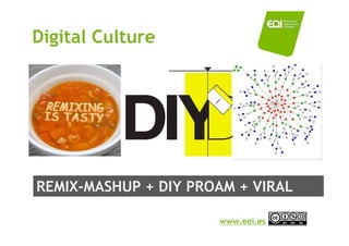 Digital Culture




REMIX-MASHUP + DIY PROAM + VIRAL

                      www.eoi.es
 