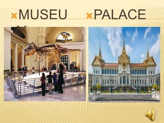 MUSEU
M
PALACE
 