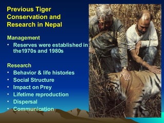 Citizen Tiger Rangers | PPT
