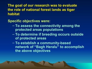 Citizen Tiger Rangers | PPT