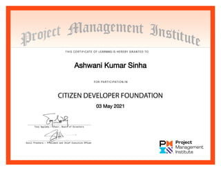 Citizen Developer Credential Citizen developer foundation certificate | PDF