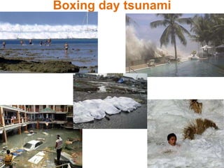 Boxing day tsunami