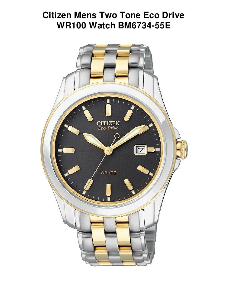 citizen eco drive titanium wr100 price